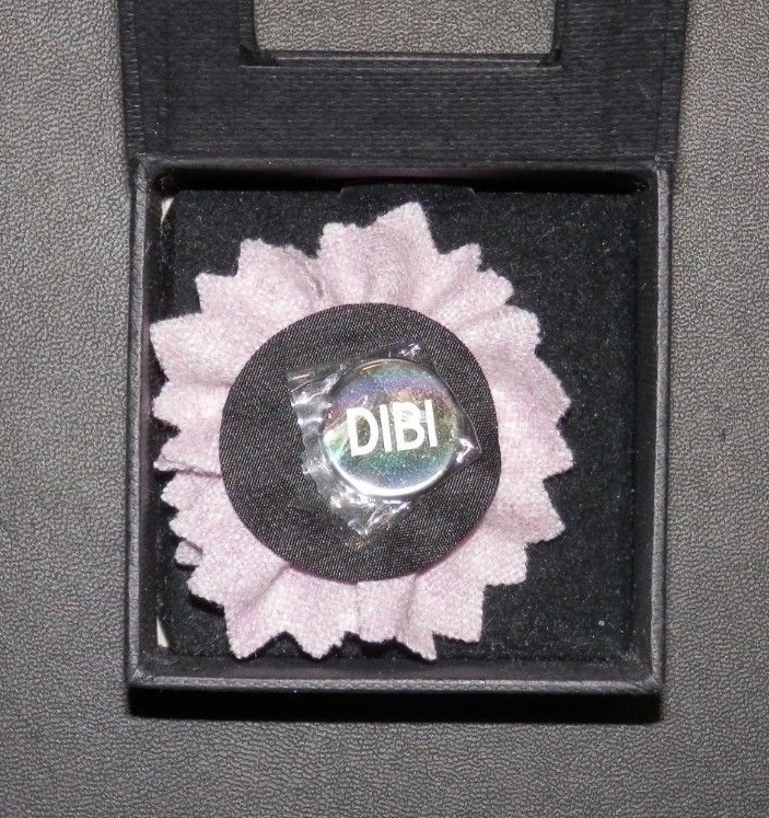Dibi Magnetic Lapel Pin - Plum