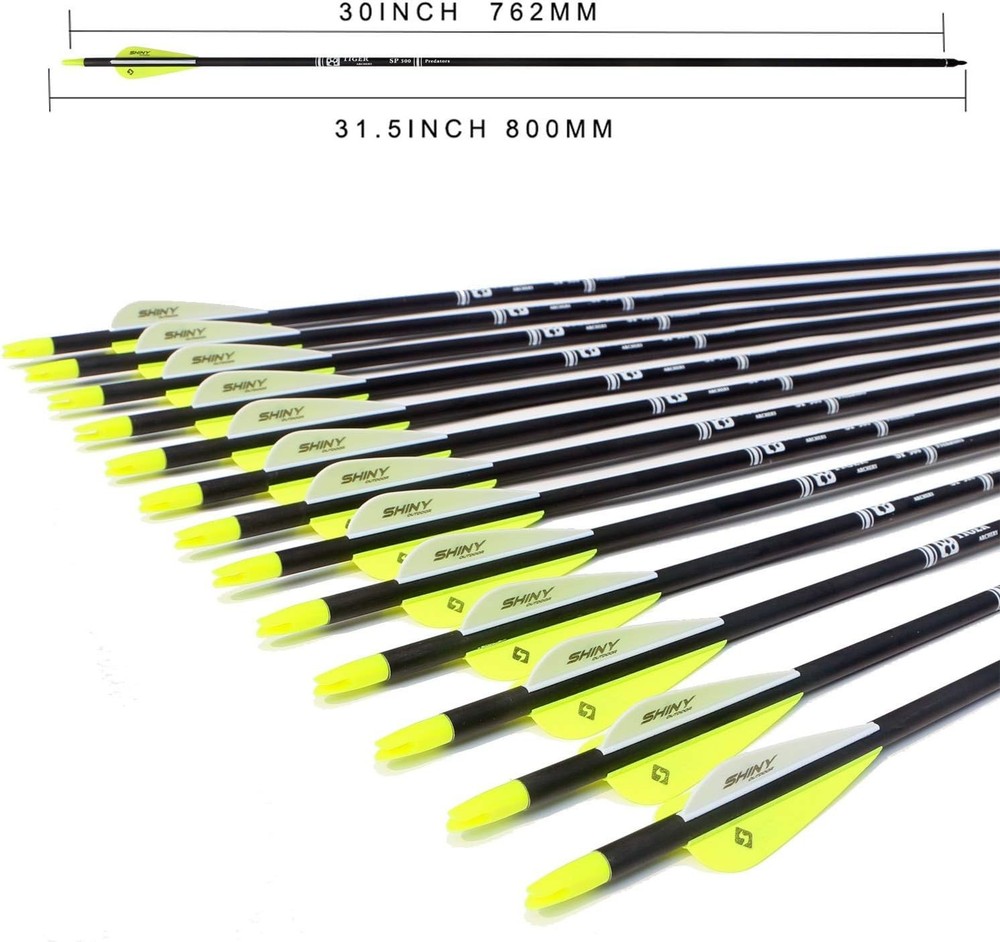 Precision Carbon Arrows 30 Inches - 12 Pack with Removable Tips for Bows