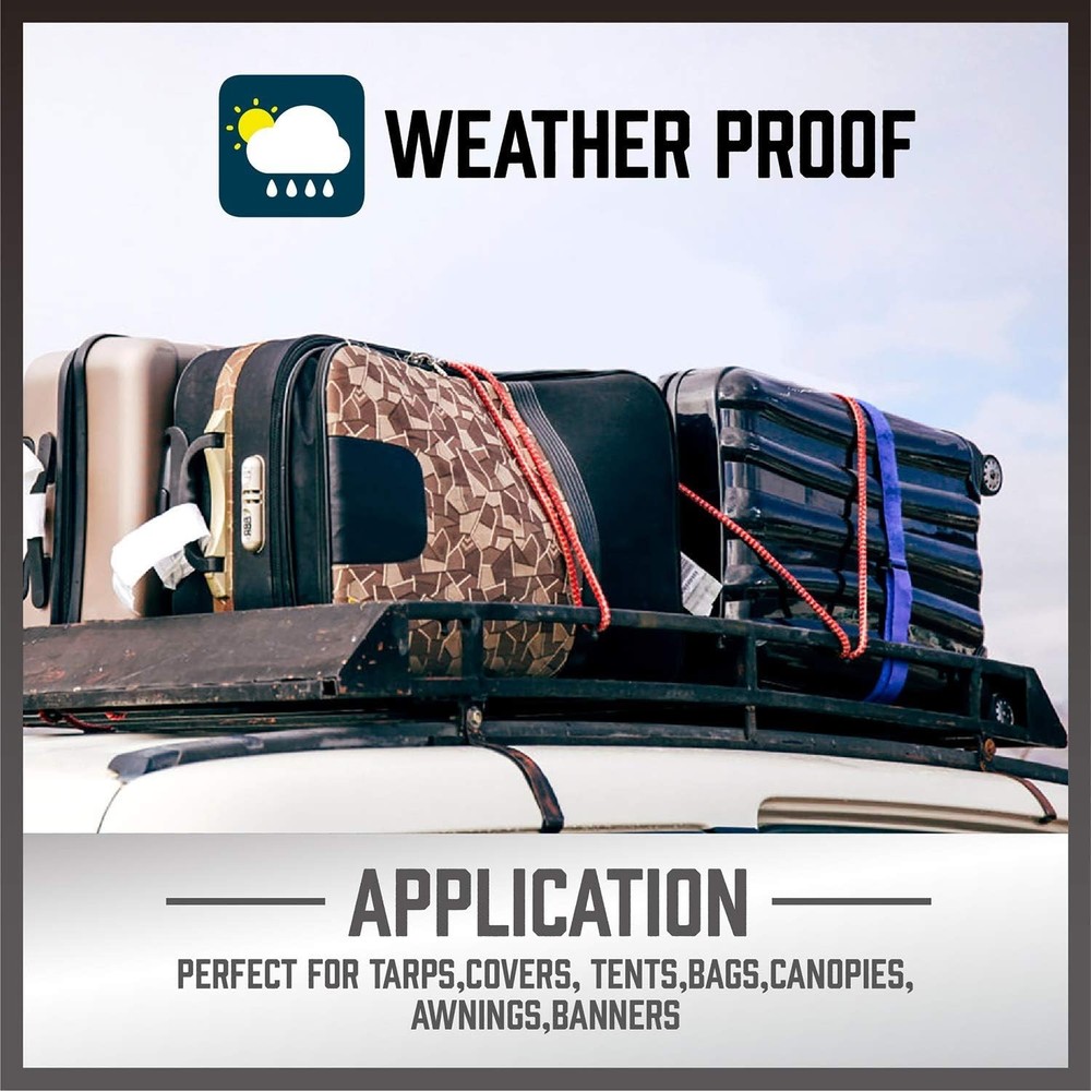 Bungee Cord Assortment Set