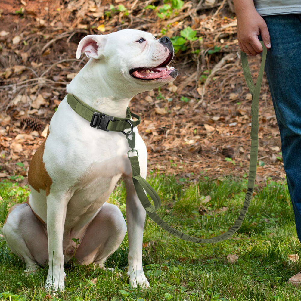 Leash + Collar Heavy Duty K9 Tactical Training Pet Dog Metal Buckle M, L, XL New