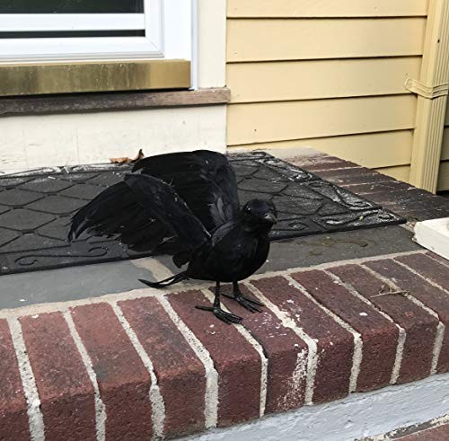 10" Feathered Crow, Black