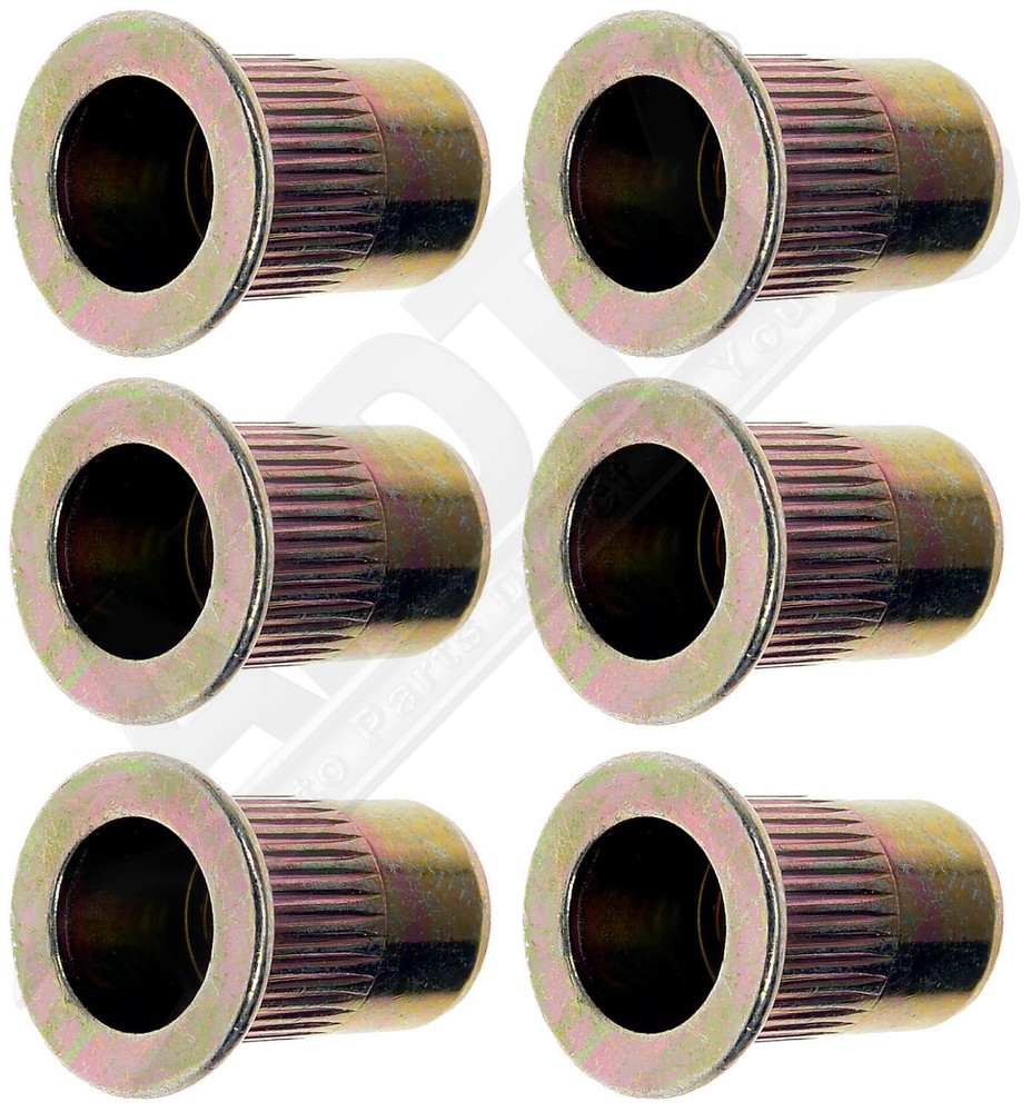 APDTY 157078 Rivet Nut - M6
