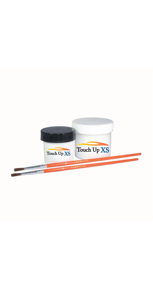 1oz Paint Kit for  Yamaha 00HV SPLENDID BEIGE