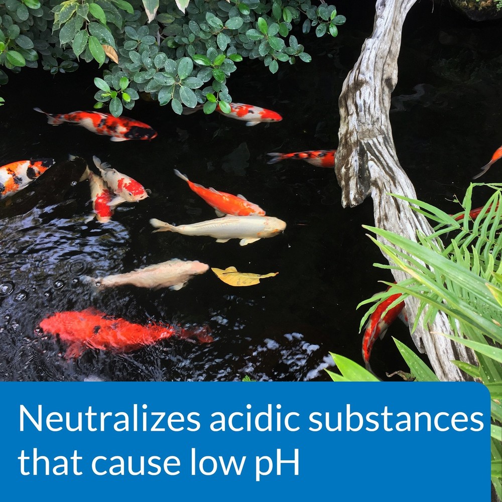 API POND pH UP Pond Water pH Raising Solution 16oz Bottle