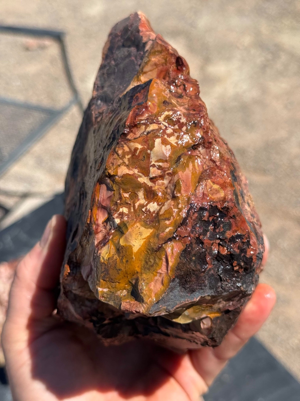 Dead Camel Jasper rough 21 pounds