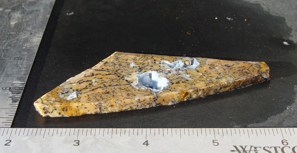 Cheetah Agate Lapidary Slab T988