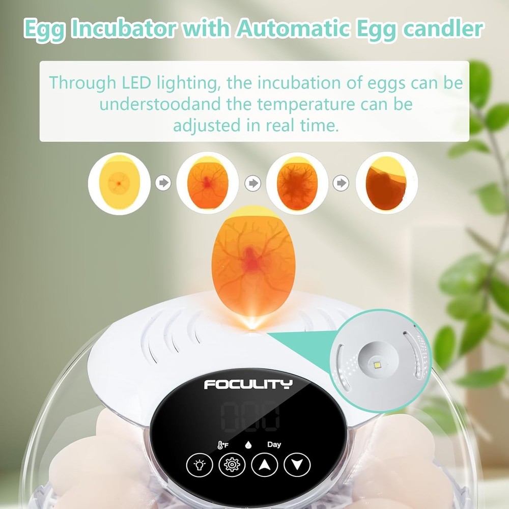 Egg Incubator 12 Eggs Hatching Chicks Auto Turner Temp Light Warm Small