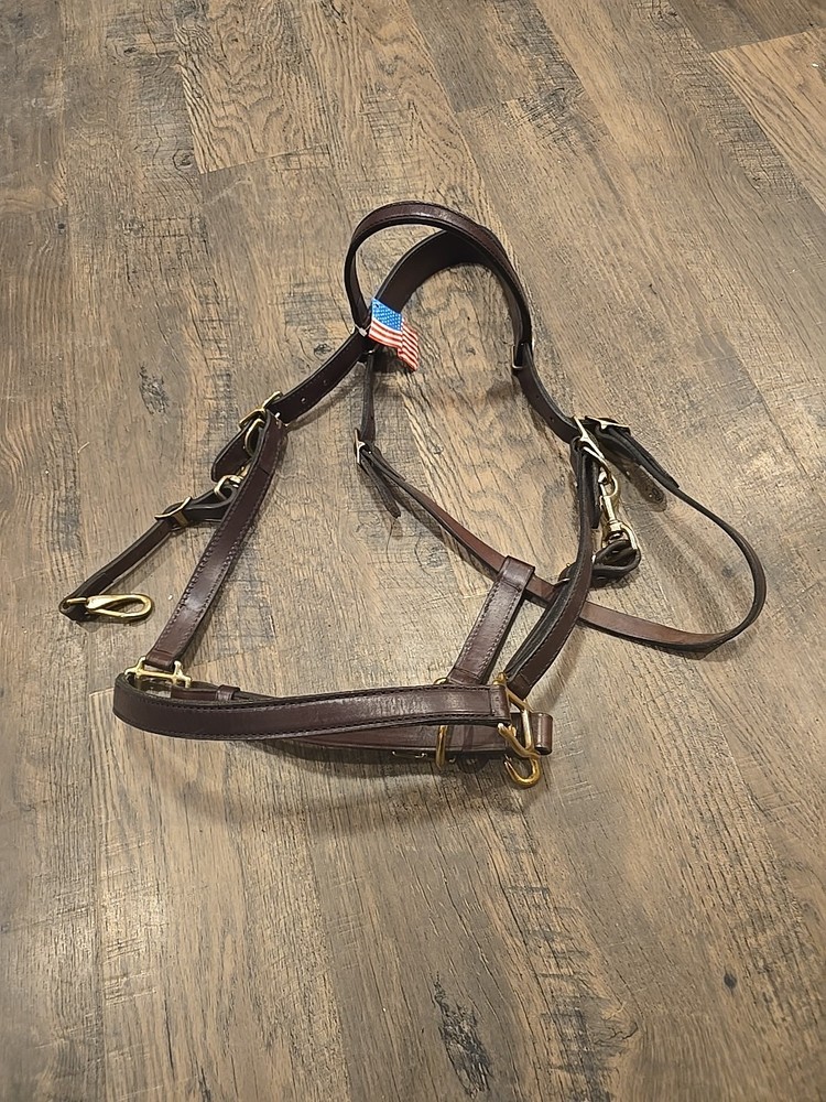 halter bridle combo
