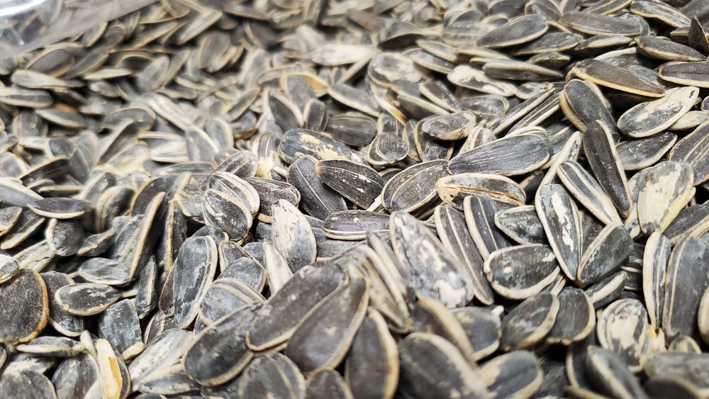Roasted salted Sunflower Seeds