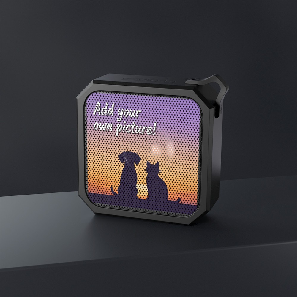 Custom, Portable, Outdoor Bluetooth Speaker