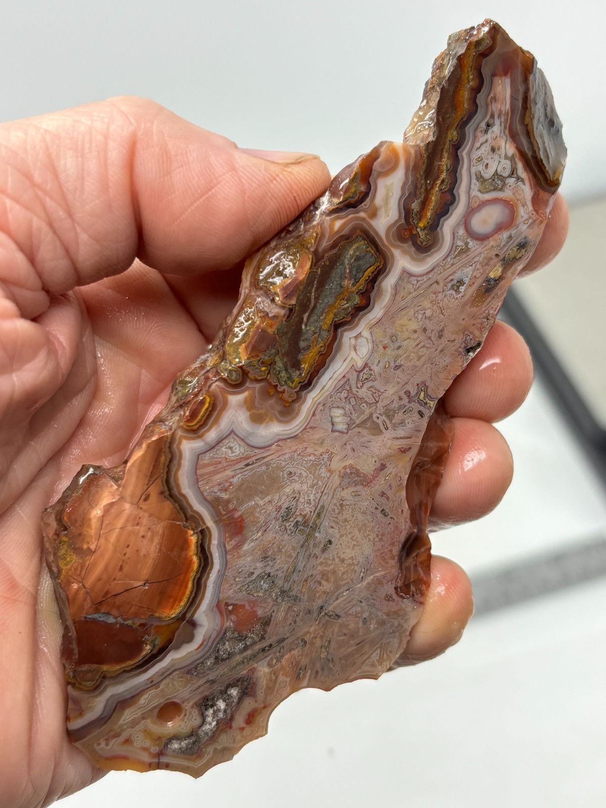 Turkish Stick Agate slab Cabbing Lapidary Collecting Combo Ship avail