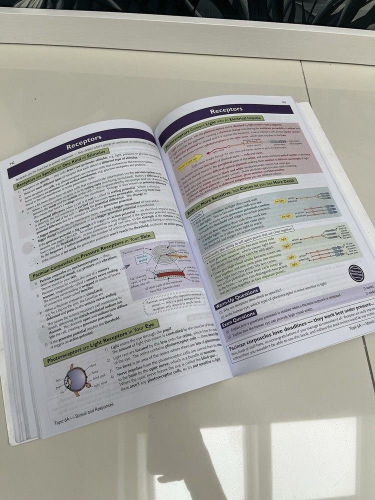 CGP A-Level Biology AQA Complete Revision Guide And Practice Book