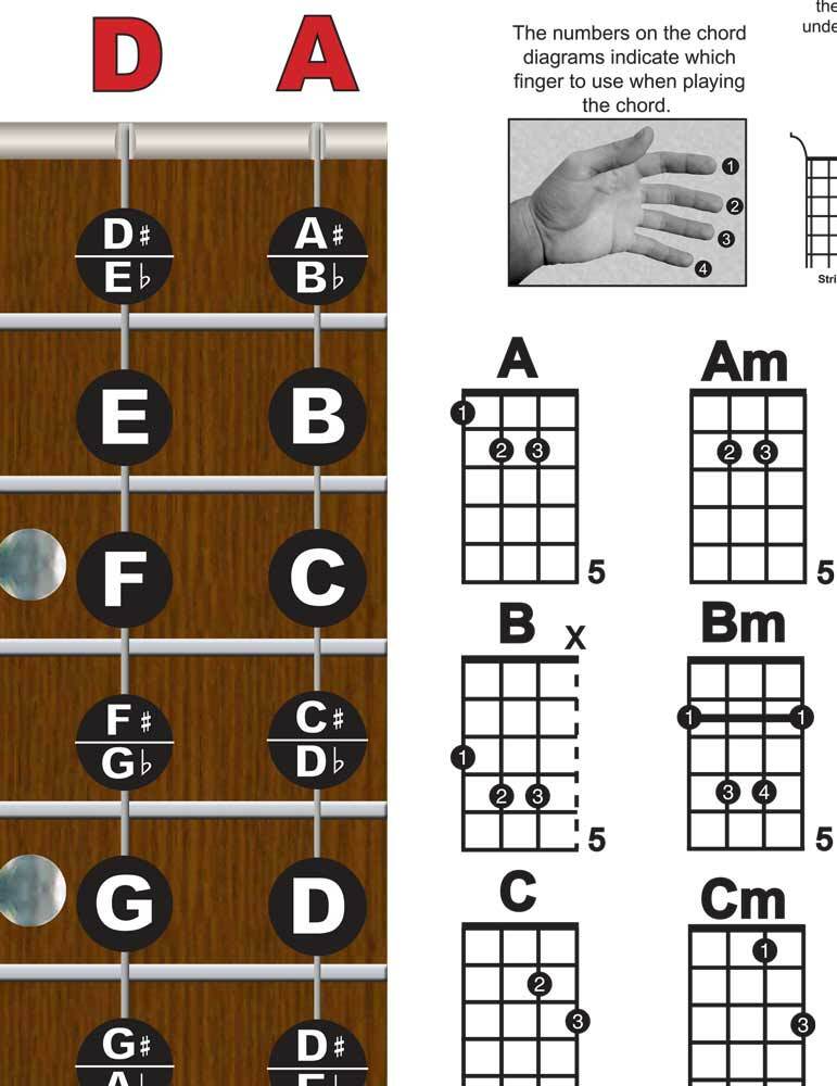 Tenor Banjo 4 String Fingerboard Wall Chord Chart Poster Notes Chords