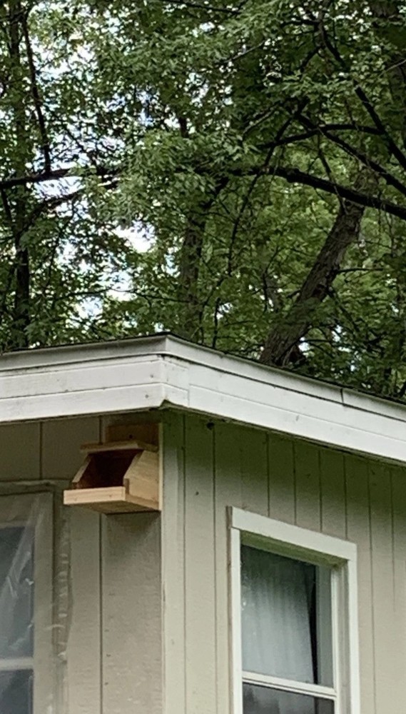 Cedar Robin Cardinal Dove Nesting Box roasting Platform Wood ￼