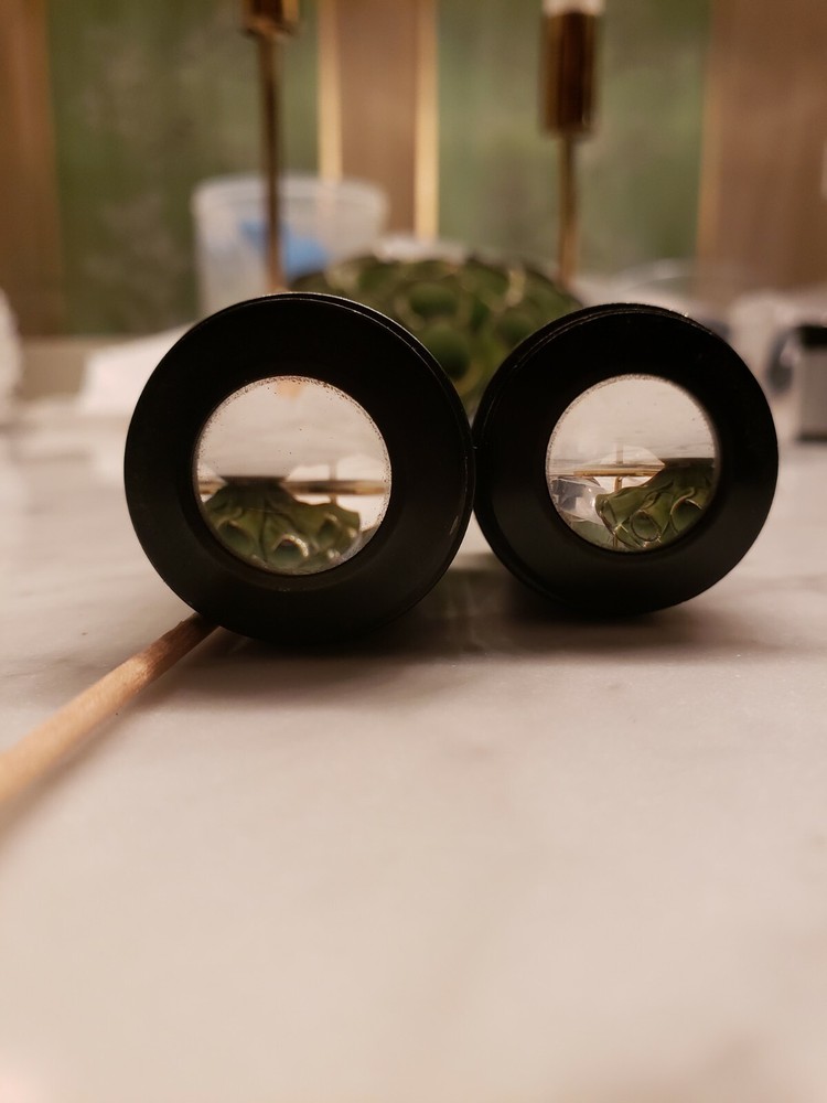 Unitron WF10x Microscope Eyepieces (Used) – Free Shipping