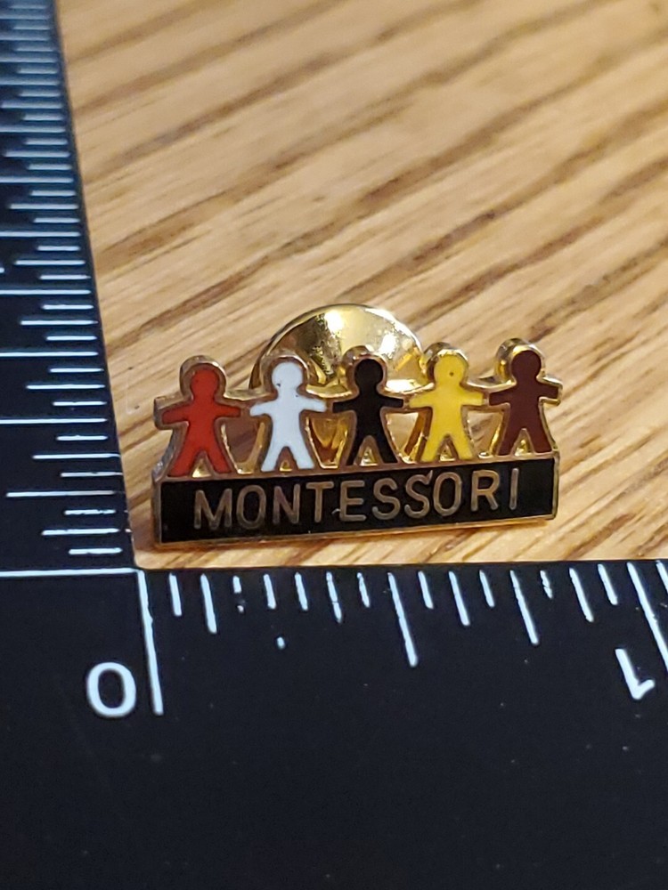 Montessori School Teaching Pin H2