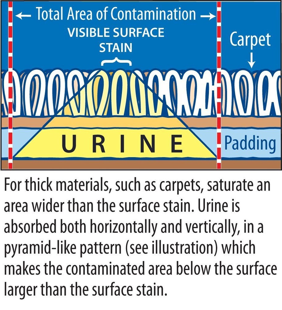 Instantly Cat Urine Odor Remover & Eliminator Cleaning Solution Oxidizer Based