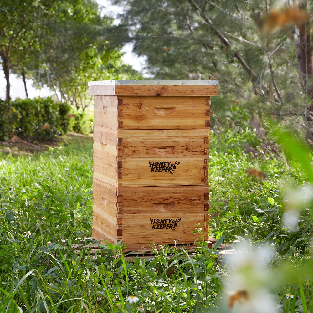 Langstroth Beehive 10 Wooden Frame Box Kit with Waxed Boxes, 2 Deep and 1 Medium