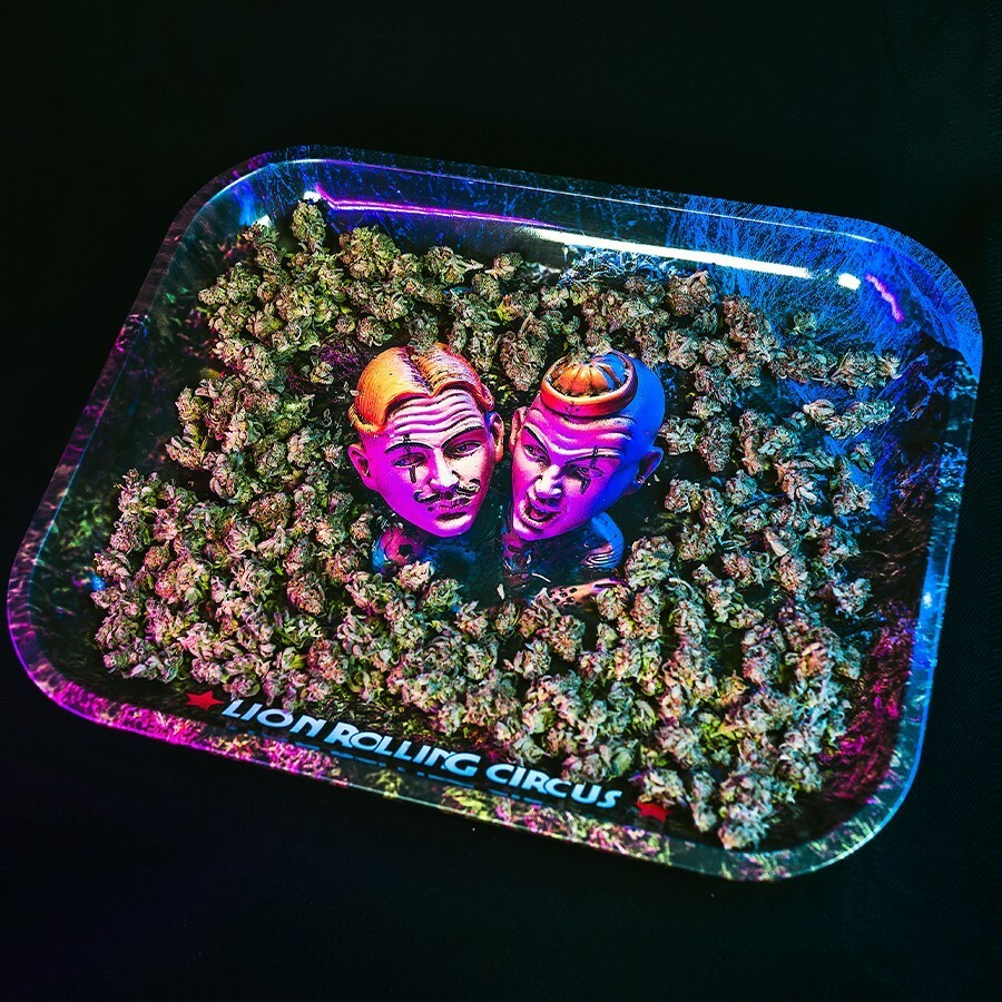 LARGE TRAY LION ROLLING CIRCUS