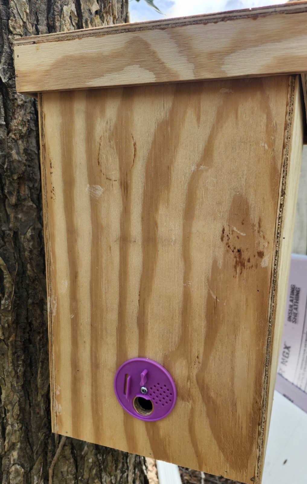 Honeybee Swarm Trap w/ Integrated Hanging Bracket = FREE BEES!!