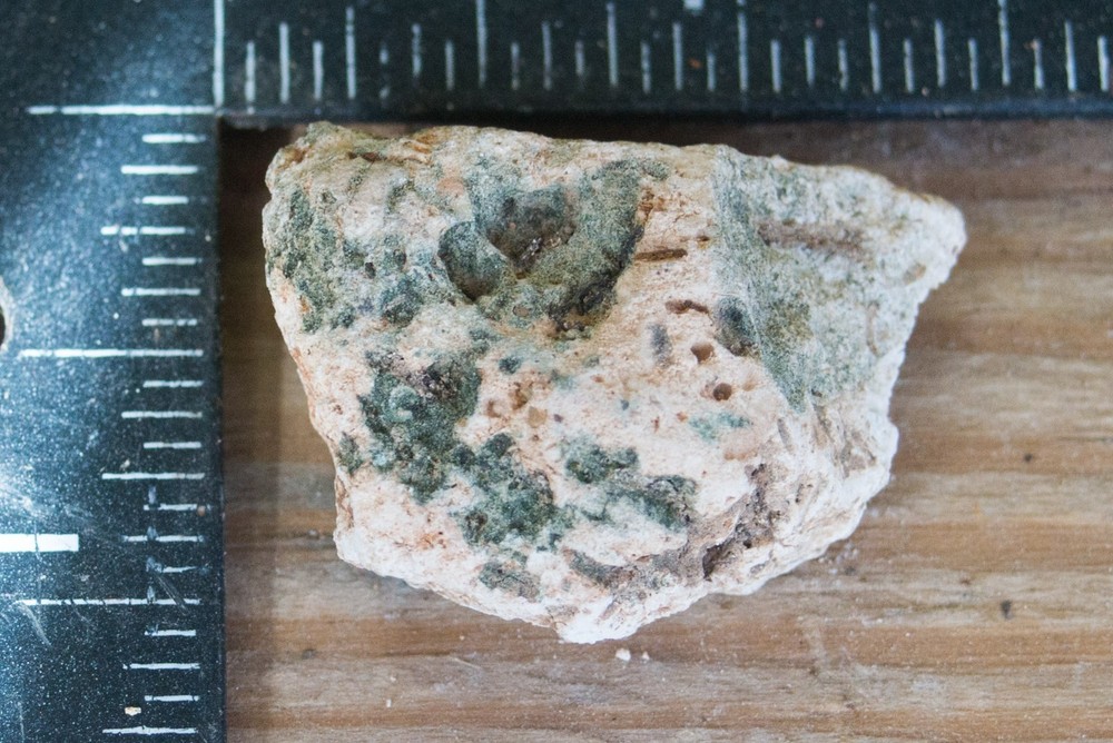 NE Oklahoma Fossil