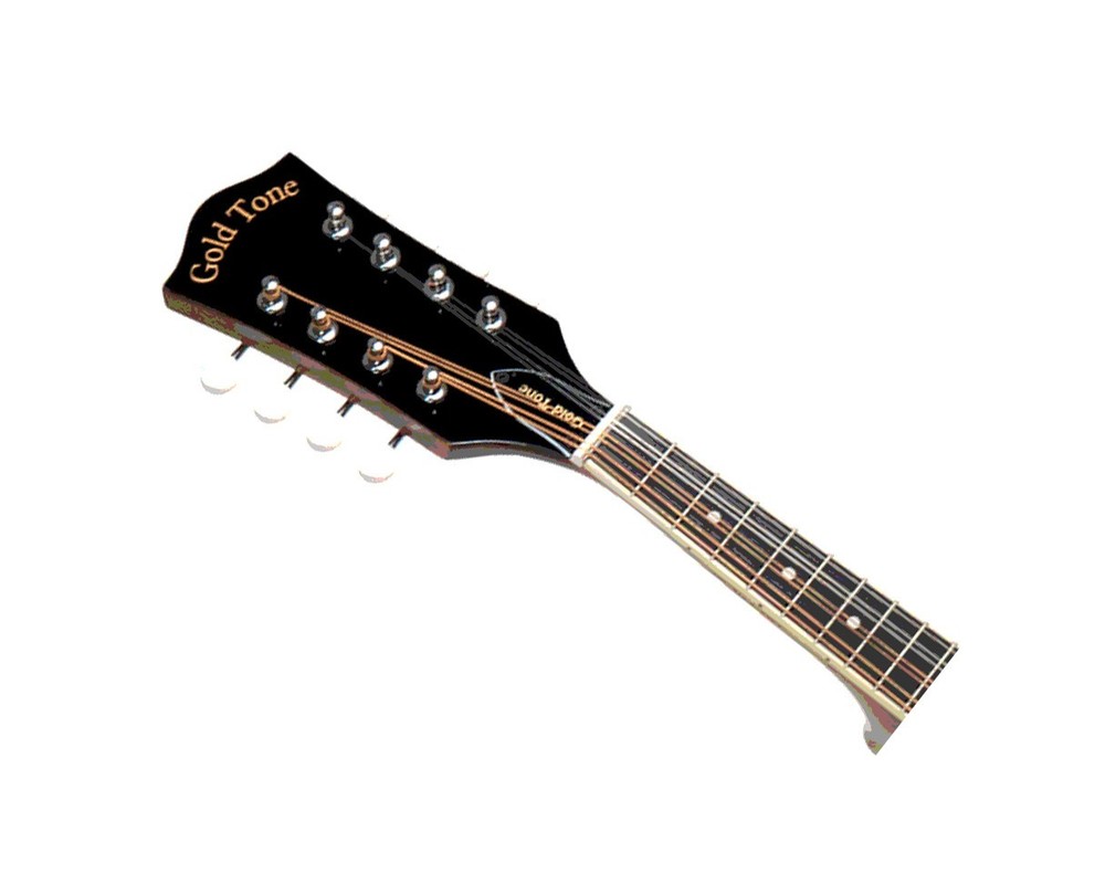 Gold Tone GM-50+ Intermediate A-Style Mandolin
