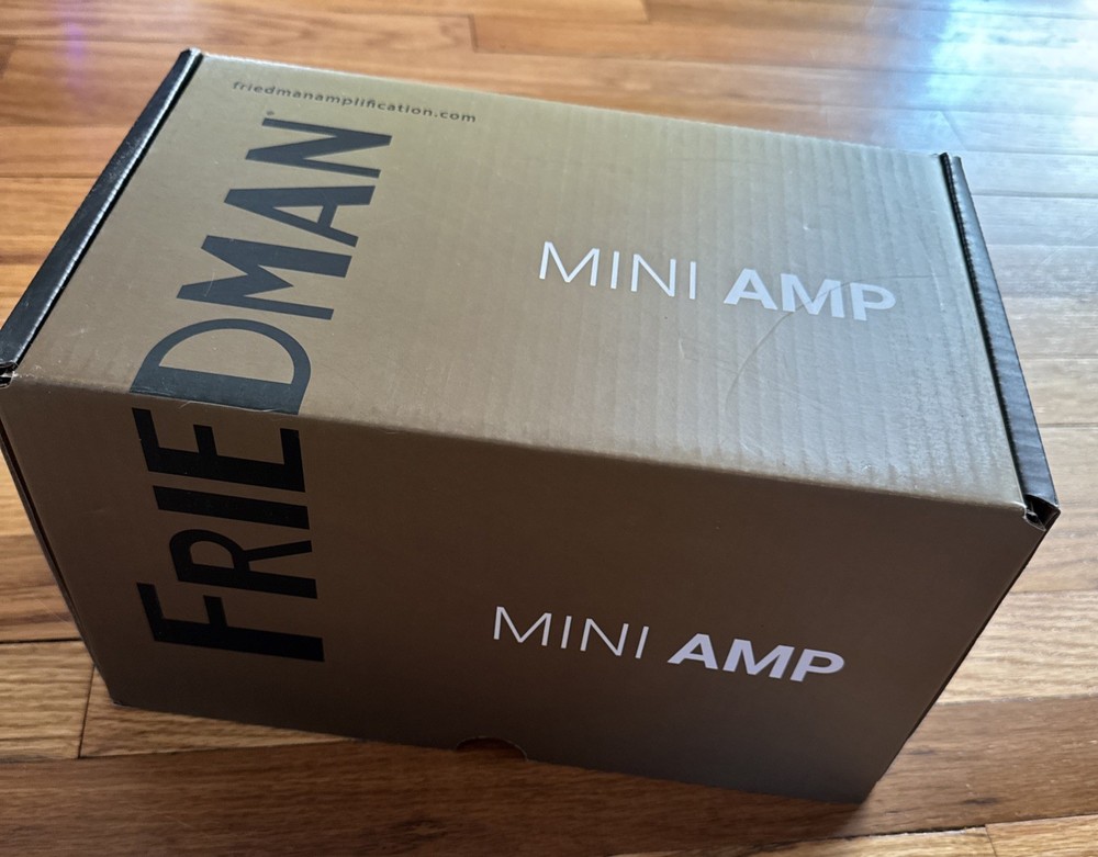 Friedman BE-Mini 30-watt Head New Never Used