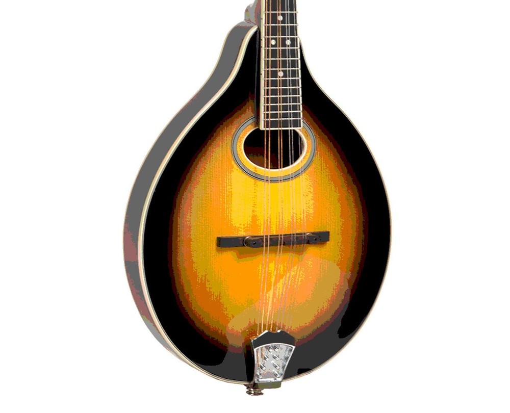 Gold Tone GM-50+ Intermediate A-Style Mandolin