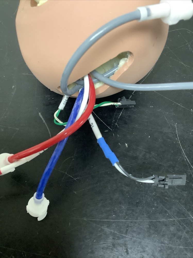 Child Pediatric Multi-Venous IV Training Arm