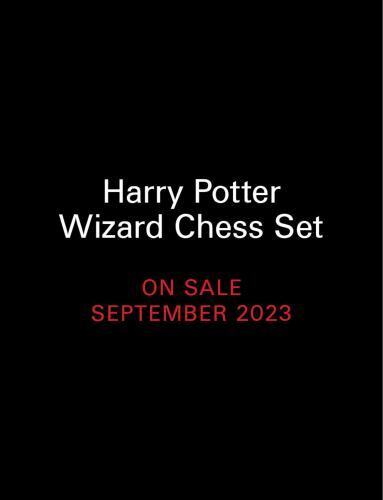 Harry Potter Wizard Chess Set by Donald Lemke