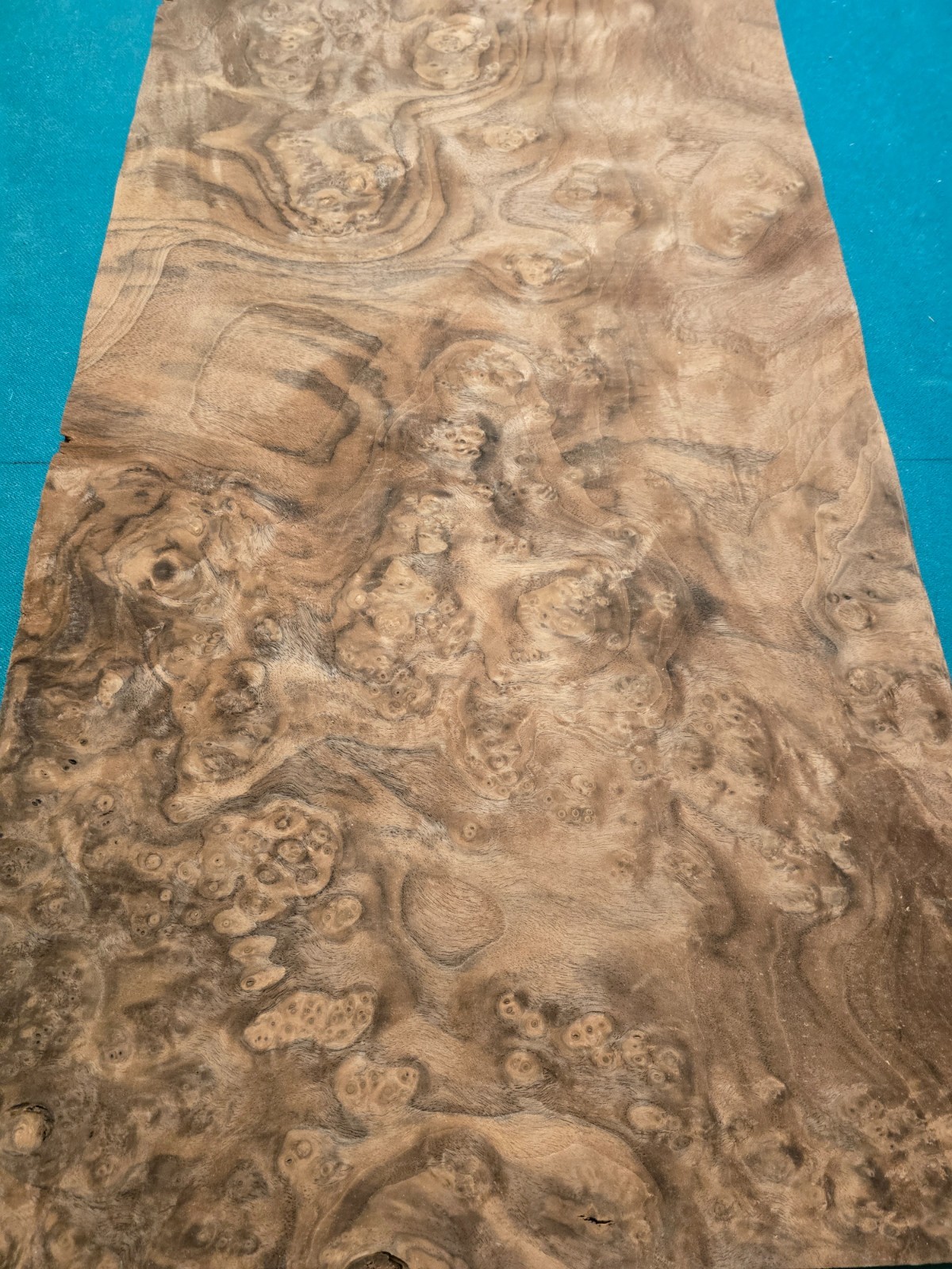 natural walnat burl wood veneer sheet 43" x 14,5" x 0,03