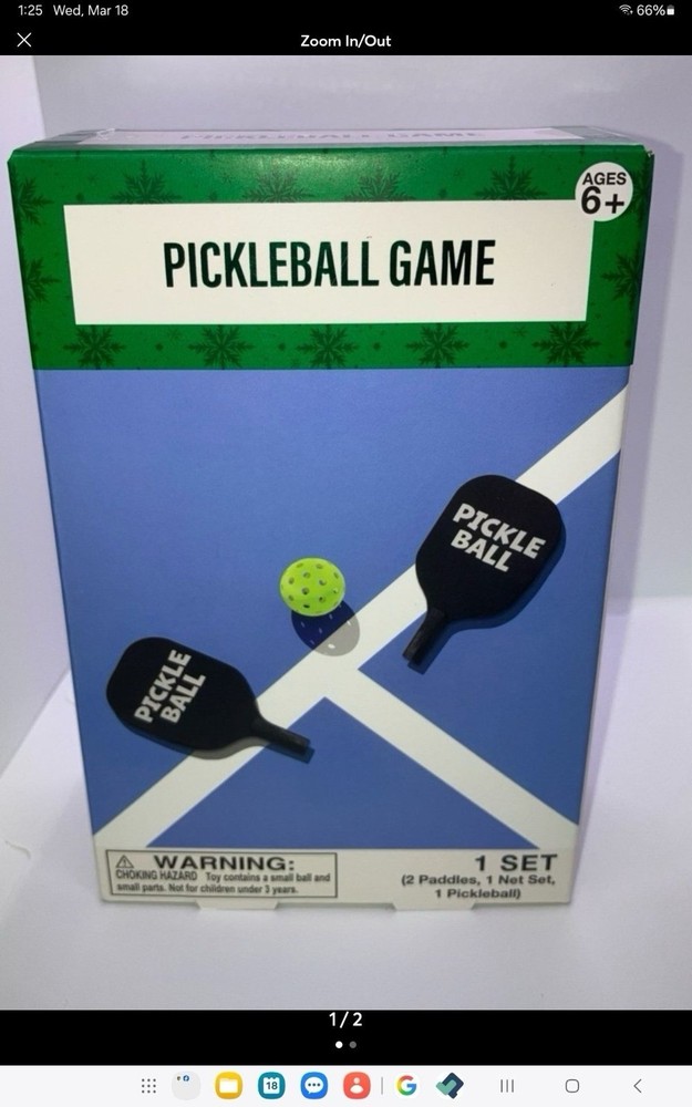 Table Top Festive Voice Pickleball Game