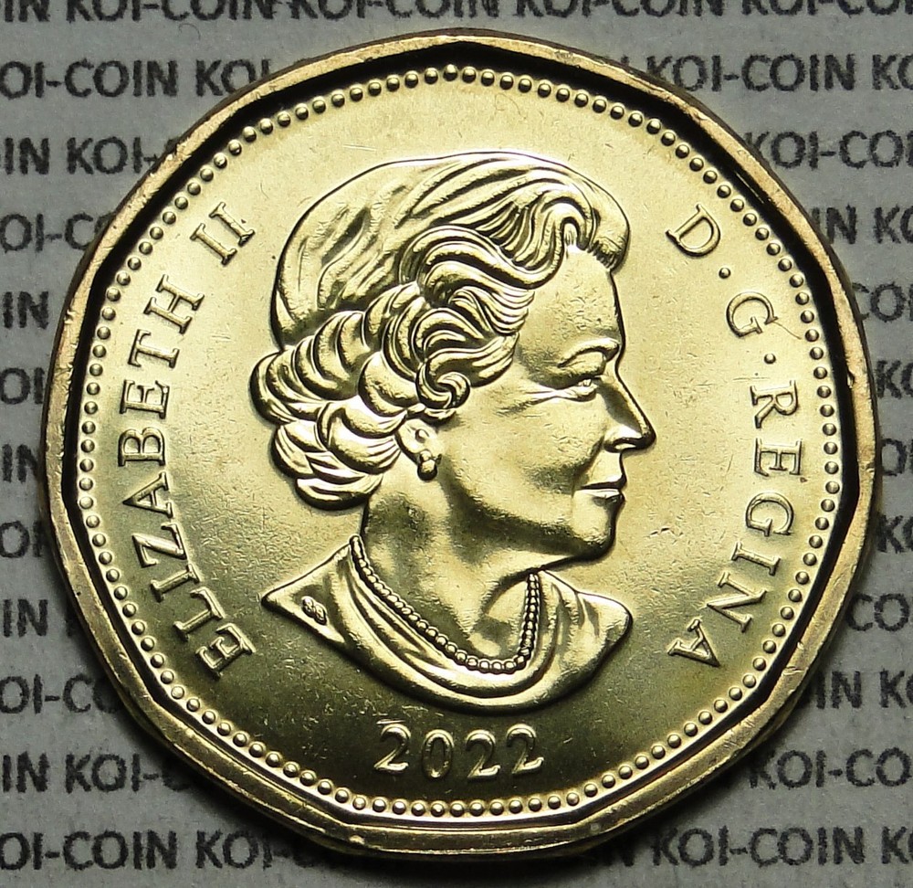 *ERROR*weak strike*BU Canada 2022 $1 regular loonie color coin