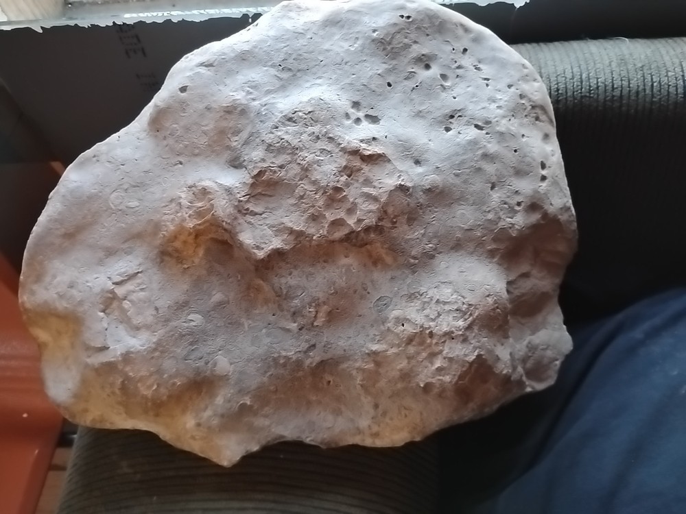 DEFINITELY A DINO BONE... DON'T KNOW WHICH ONE YET.. PLEASE HELP ME IDENTIFY IT.