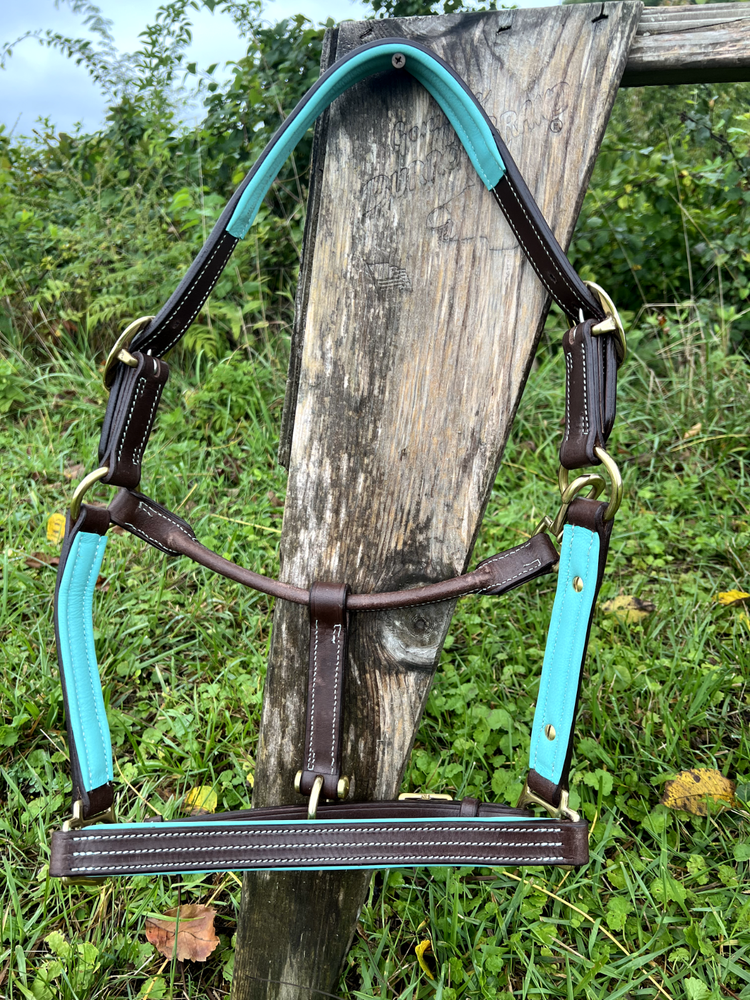 Leaders 1" Leather Halter with Turquoise Padding and Solid Brass Hardware