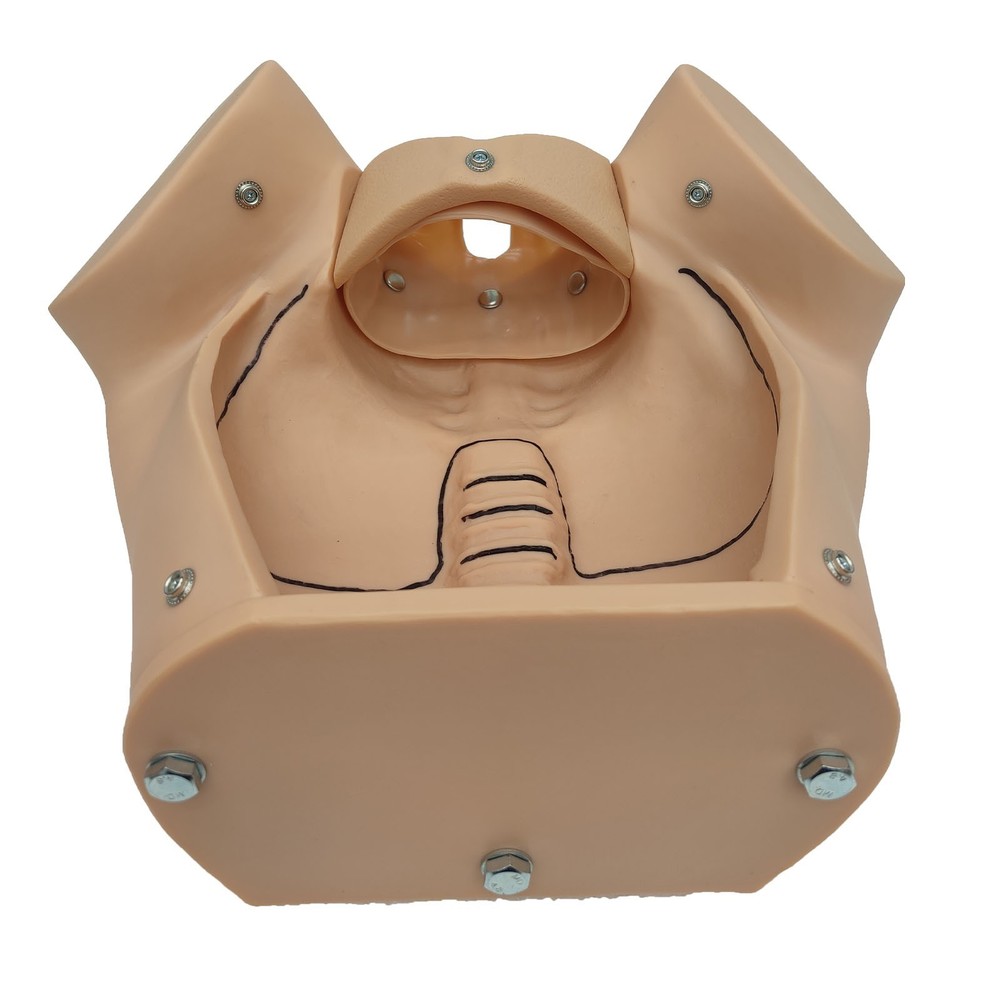 Female Childbirth Model Simulation Childbirth Comprehensive Skill Training Model