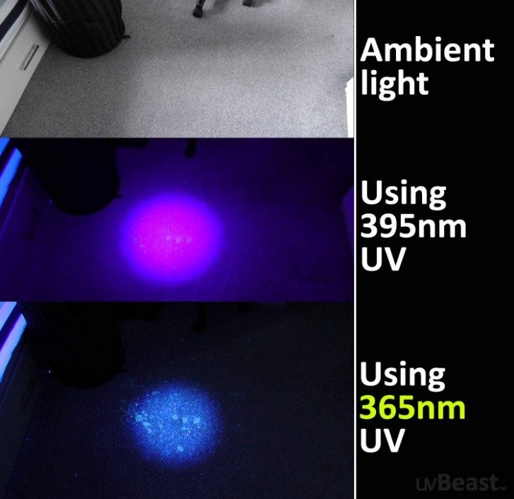 V3 365nm Black Light UV Flashlight – High Power, Long Range, Pro Grade
