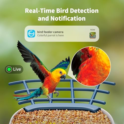 Bird Feeder with Camera-No Subscription Required for AI Identifies Bird Blue