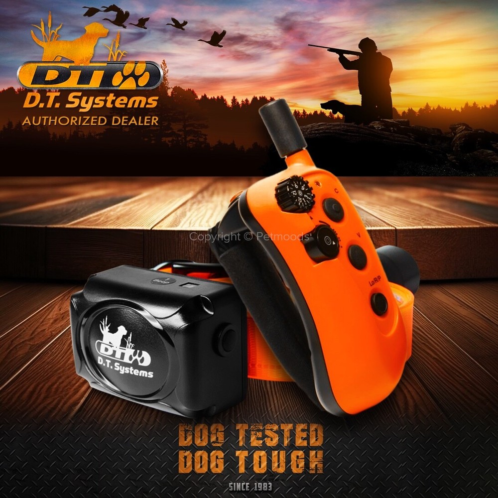 DT Systems RAPT 1450 Upland Pro Trainer Beepers Rapid Access