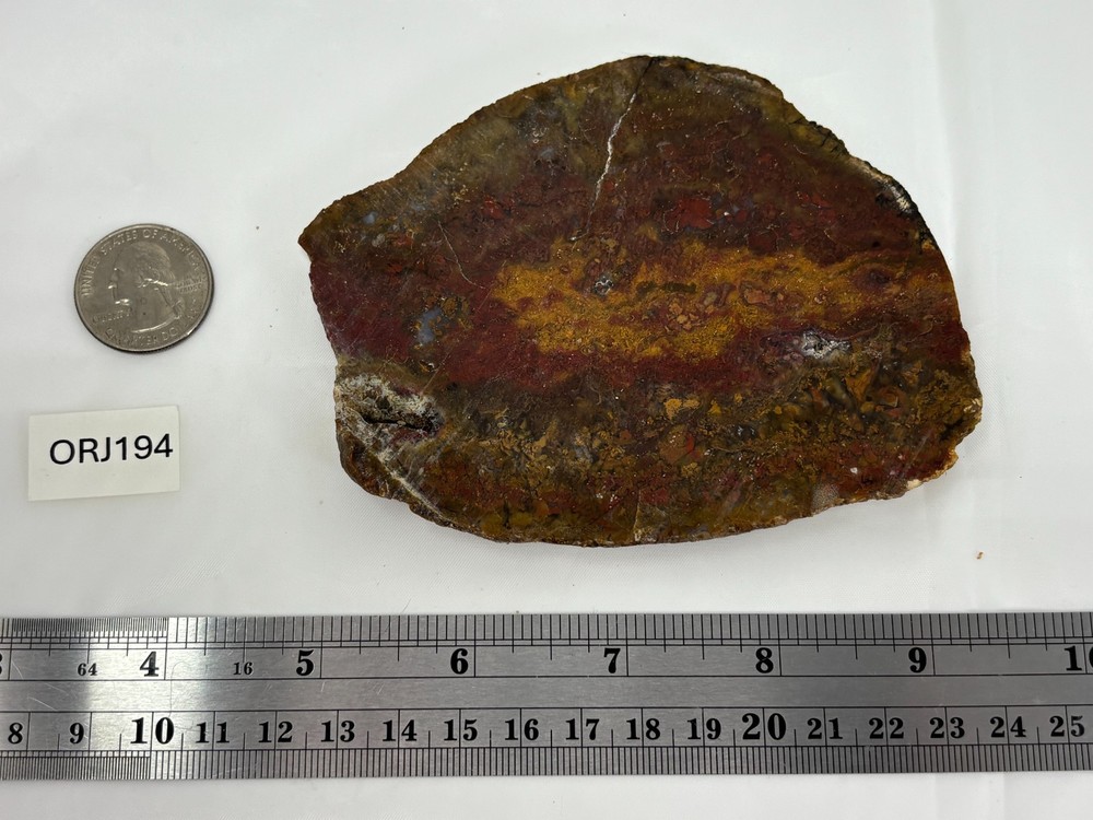Thick Red/Yellow Moss Jasper Slab Cabbing Lapidary Combo Ship Avail