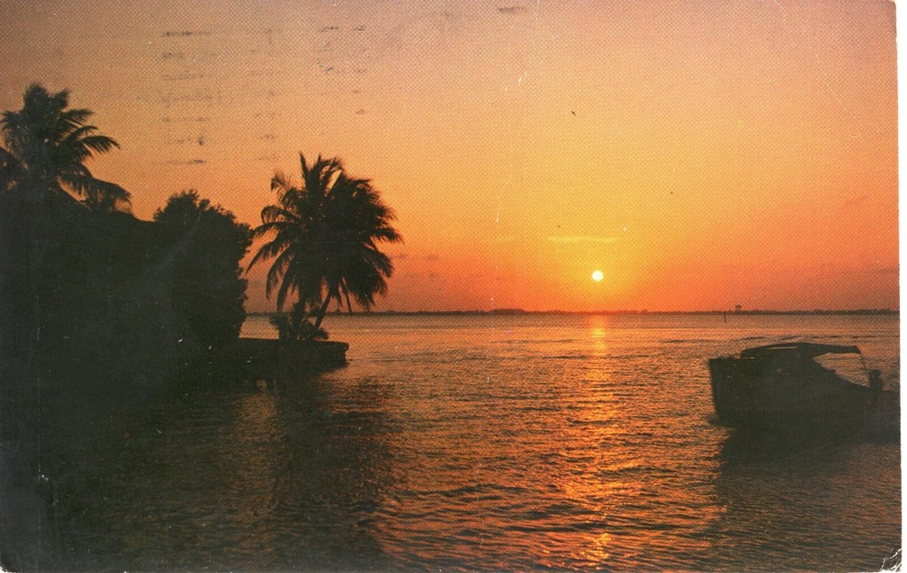 FLORIDA SUNSET - PC6206