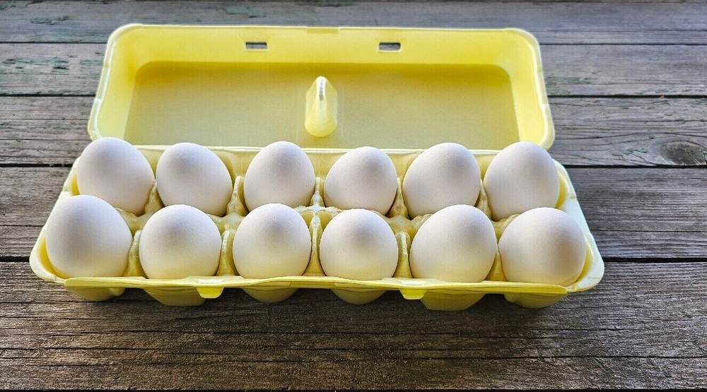 Styrofoam Bulk Egg Cartons (50 pack) Yellow