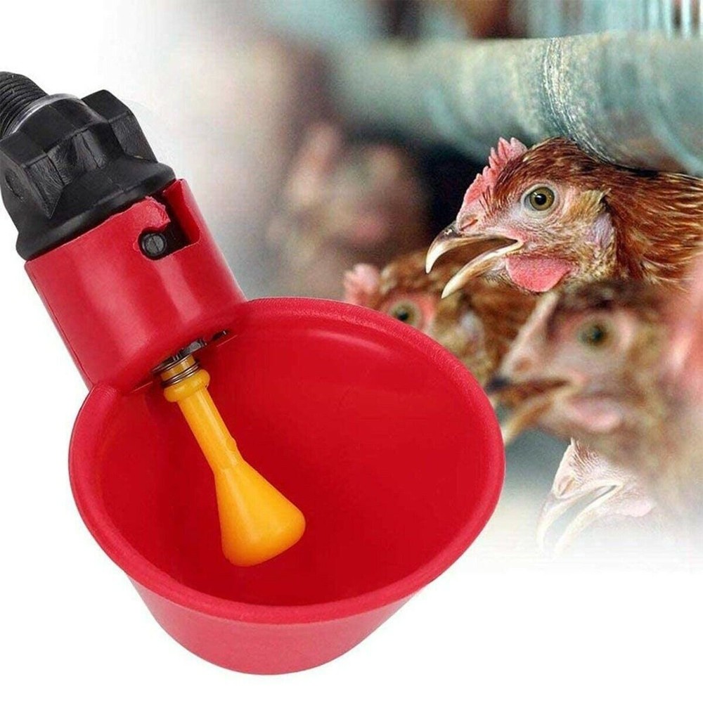 1-50Pcs Poultry Water Drinking Cups Chicken Hen Plastic Automatic Drinker Feeder