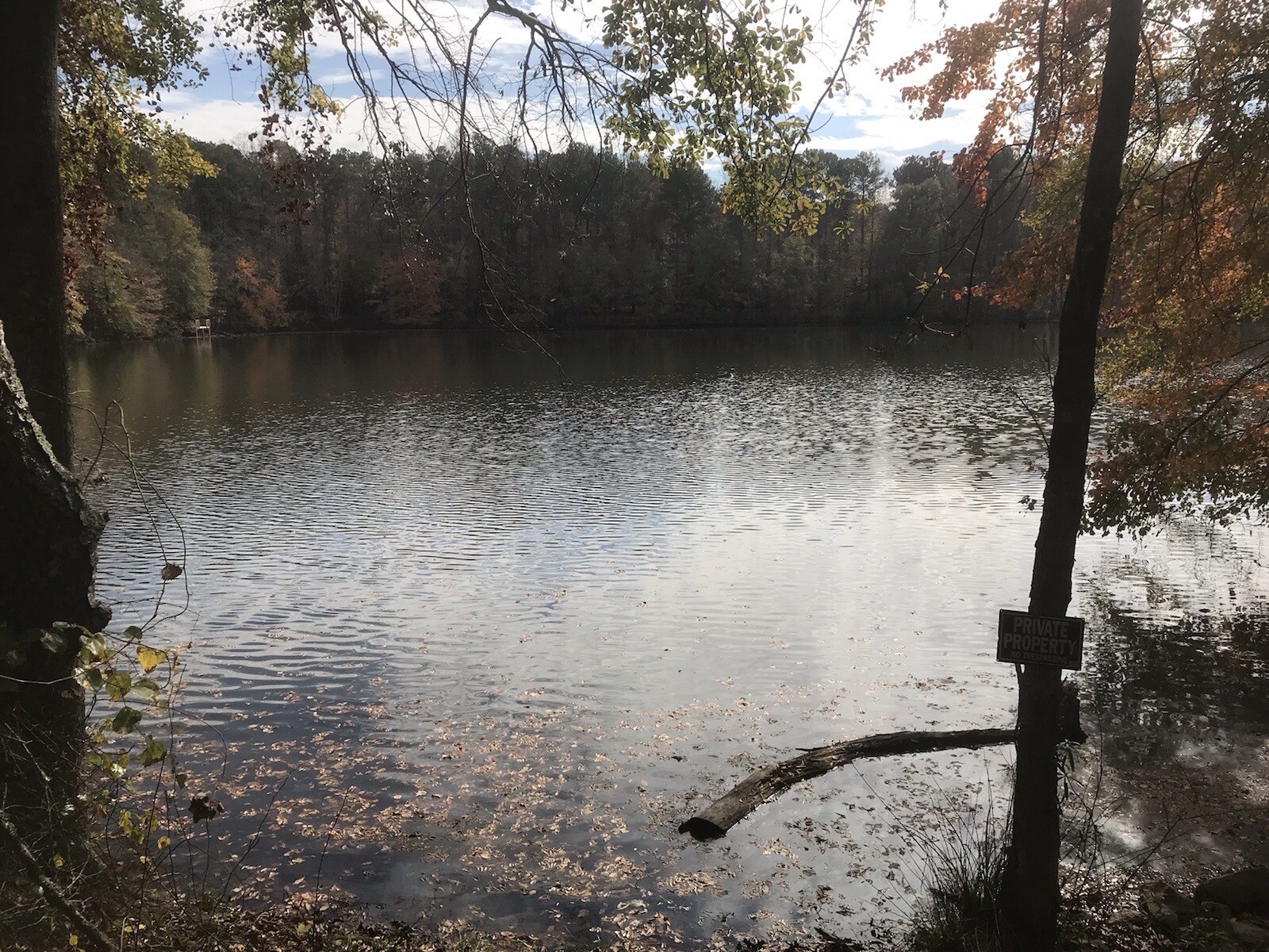 10 lbs Georgia ”FATWOOD FUEL” Kindling Firewood Lighter Ocote Chez JonesTHE BEST