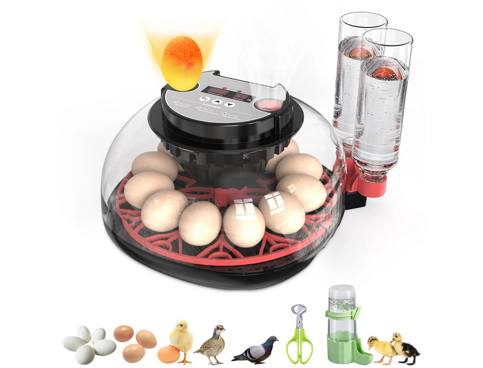 12-Egg Automatic Incubator with Auto Turner & Humidity Control, Poultry Hatching