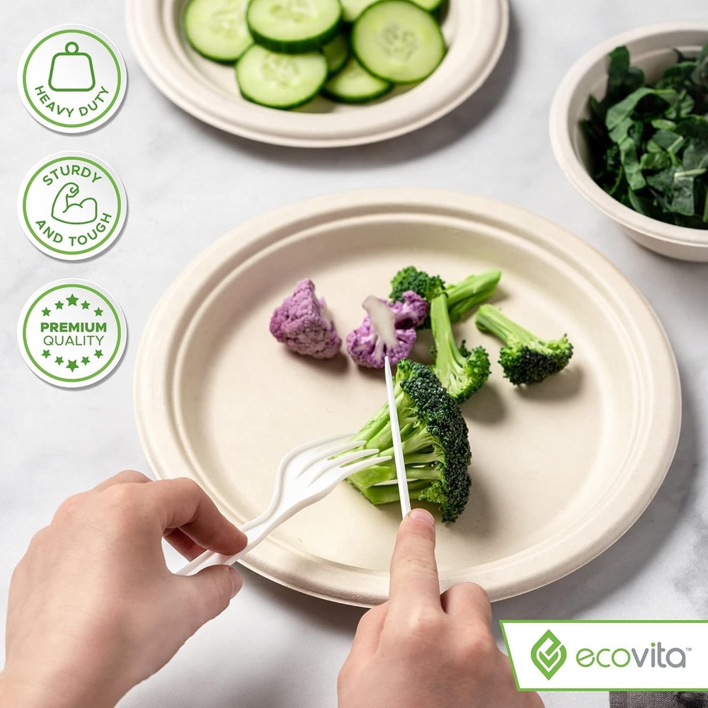 100% compostable paper plate [9 inches]