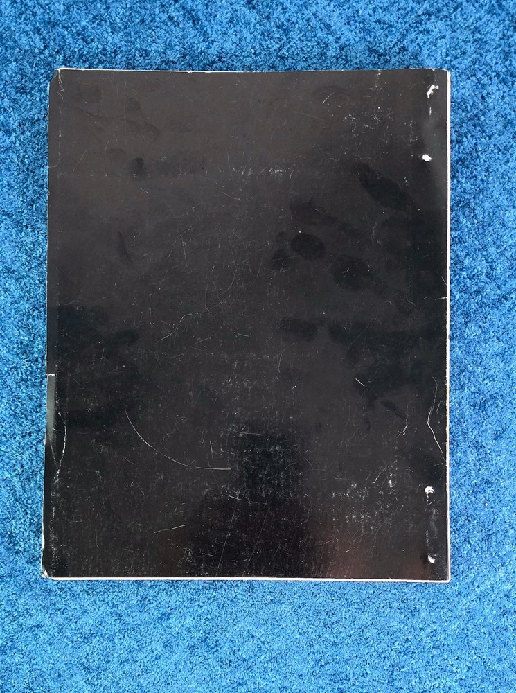 MADONNA DESPERATELY SEEKING SUSAN MOVIE SCRIPT (early version)