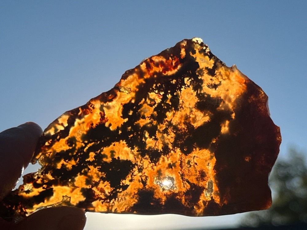 (X2) Rare Powell Butte Plume Agate Rough Slabs (C33)