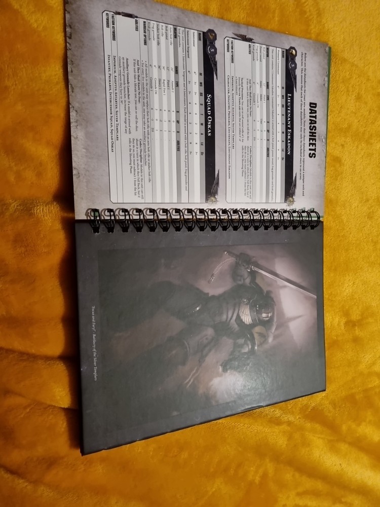 Warhammer 40k - How to Paint: Silver Templars (Ring-bound Guide)