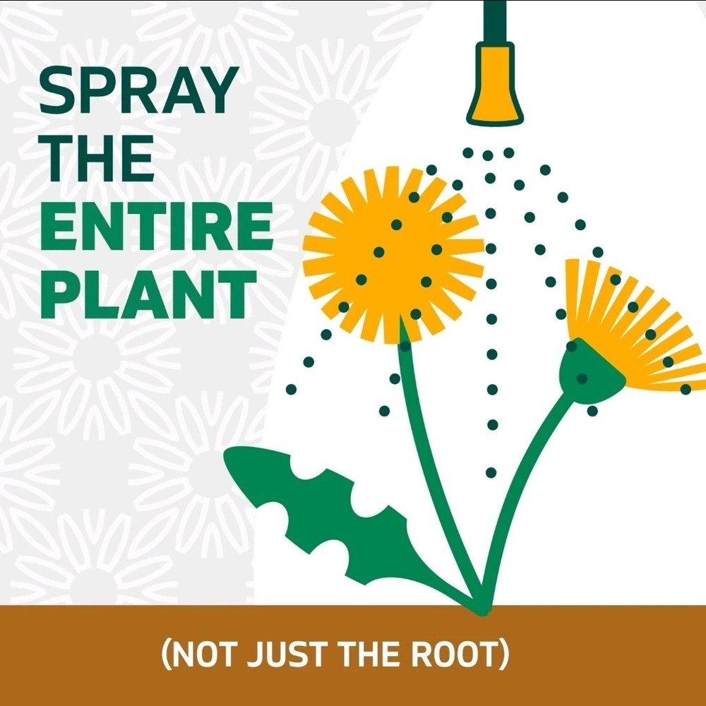 Spruce Snap & Spray Weed & Grass Killer Powered Starter Kit FAST RESULTS